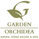 Garden Orchidea